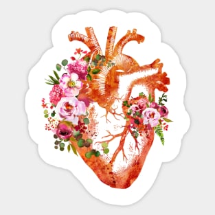 Human Heart Sticker